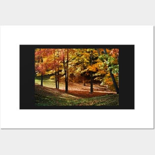 Autumn Leaves Posters and Art